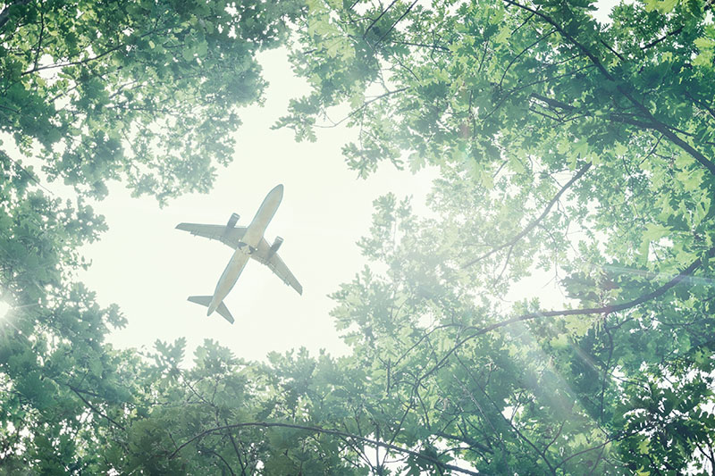 A plane flies in the sky against the background of green trees.